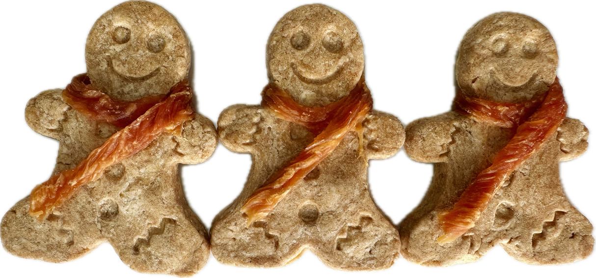 Wanpy Gingerbread Biscuits With Chicken 100g