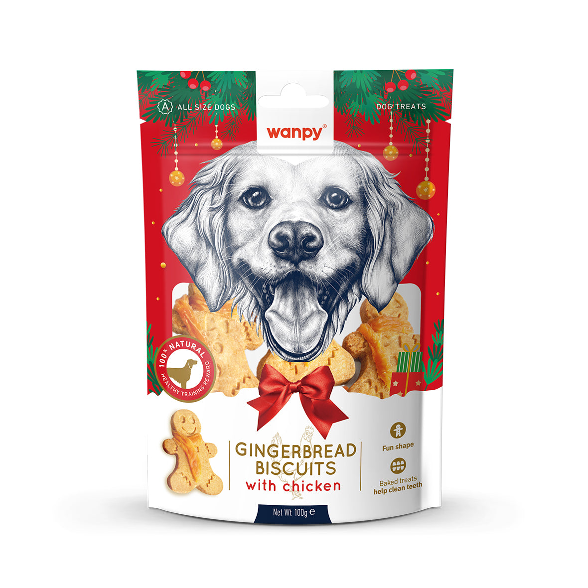 Wanpy Gingerbread Biscuits With Chicken 100g