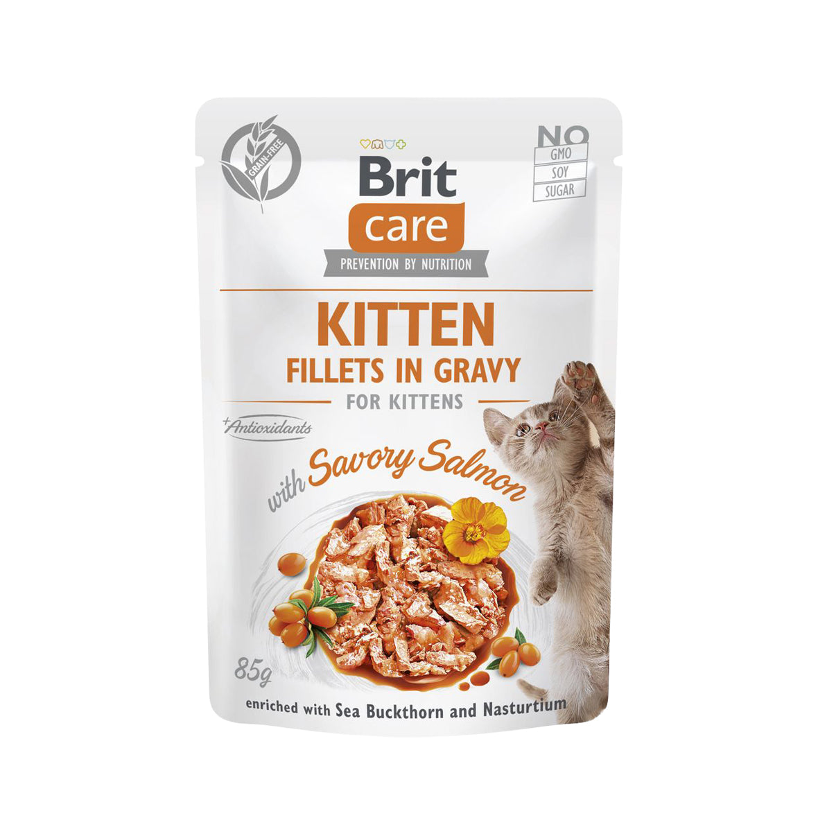Brit Care For Adult Cat - Fillets in Gravy Tender Turkey& Salmon 85g