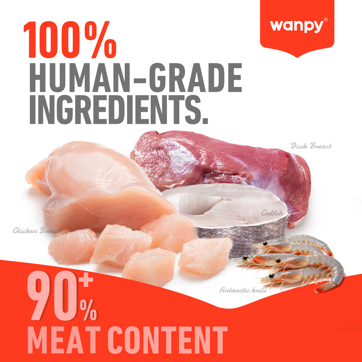 Wanpy Cat Freeze Dried Chicken Treat 20g