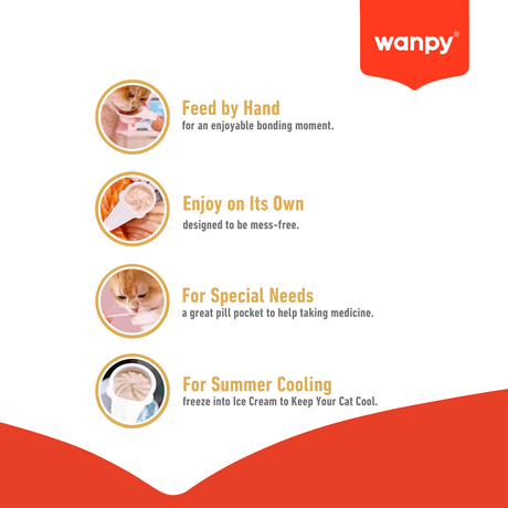 Wanpy Cat Lickable Cream Salmon 160g (16g*10U)